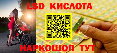 PSILOCYBIN Рыбинск