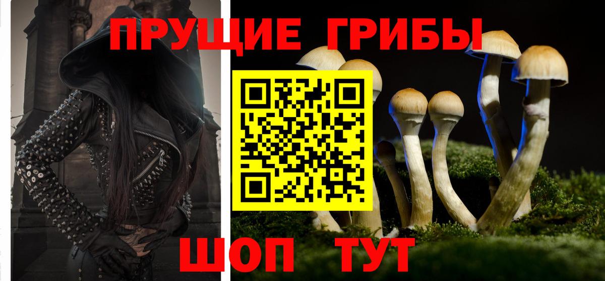 Псилоцибиновые грибы ЛСД Белебей