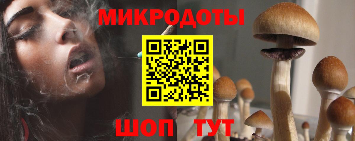 Белебей  Псилоцибиновые грибы ЛСД  Вход с VPN 